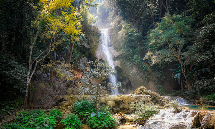 El Pensamiento del Dia