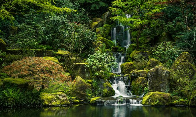 El Pensamiento del Dia